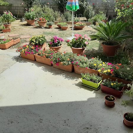 Casa vacanze Millefiori Codice IUN Q3156 Teulada Esterno foto