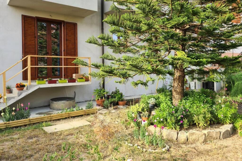 Casa vacanze Millefiori Codice IUN Q3156 Teulada Esterno foto