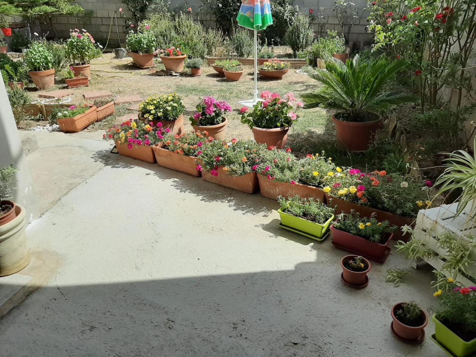 Casa vacanze Millefiori Codice IUN Q3156 Teulada Esterno foto